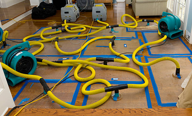 Professional Flood Damage Restoration technician working in Lafayette, CO
